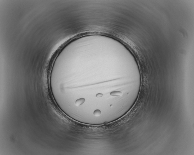 X0000113091120200909251004