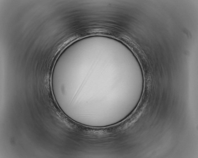 X0000113091121200909251004