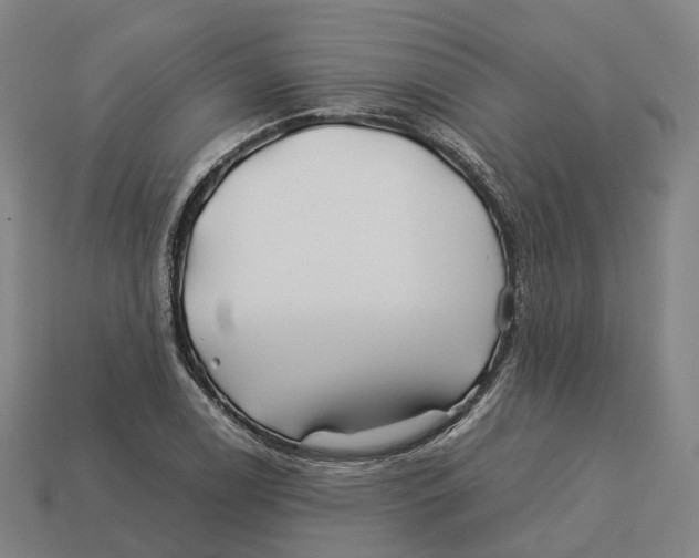 X0000113091122200909251004