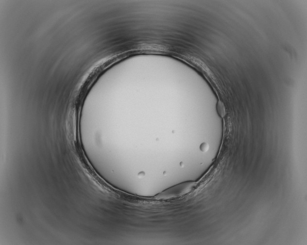 X0000113091123200909251004