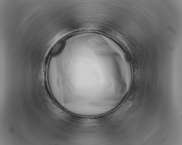 X0000113091124200909251004