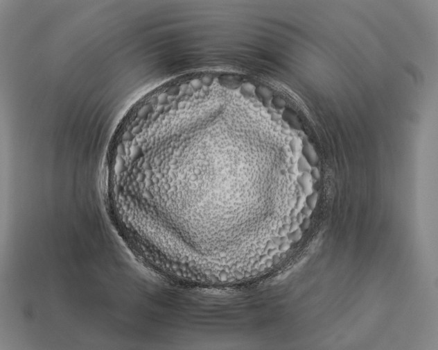 X0000113091125200909251004