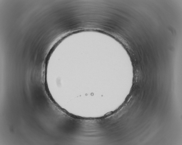 X0000113091126200909251004