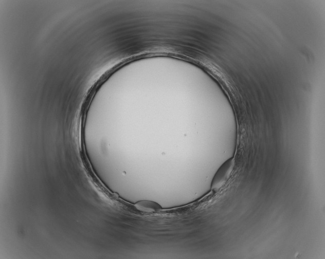 X0000113091127200909251004