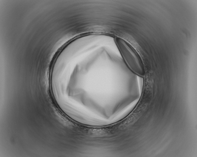 X0000113091128200909251004