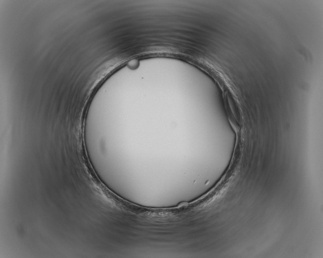 X0000113091129200909251004