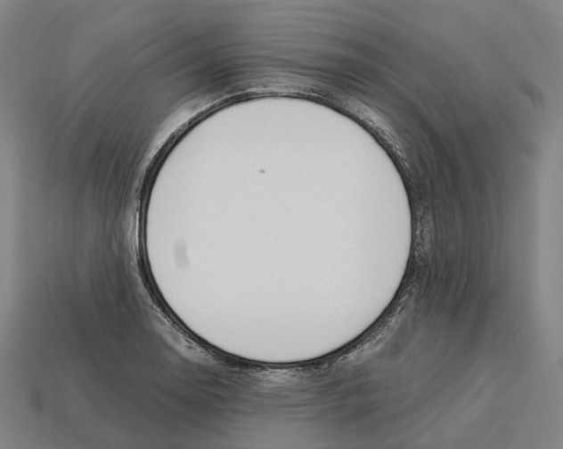 X0000113091130200909251005