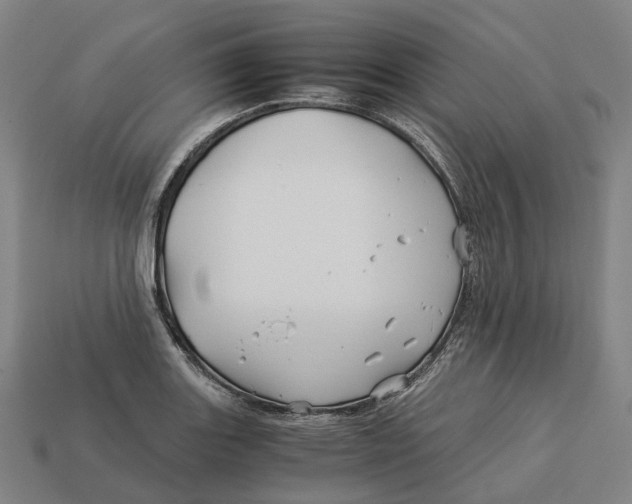 X0000113091131200909251005