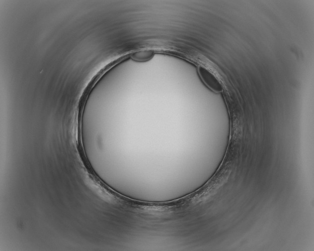 X0000113091132200909251005