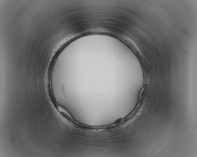 X0000113091133200909251005