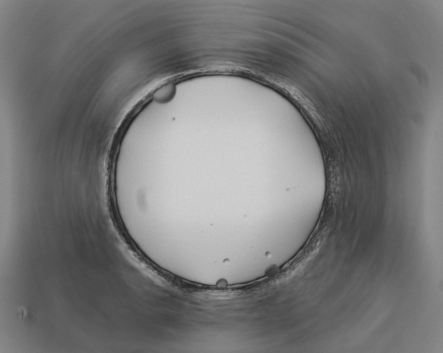 X0000113091134200909251005