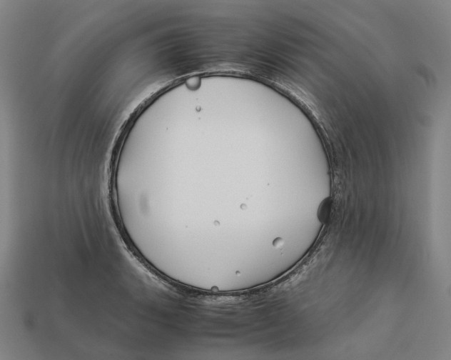 X0000113091135200909251005