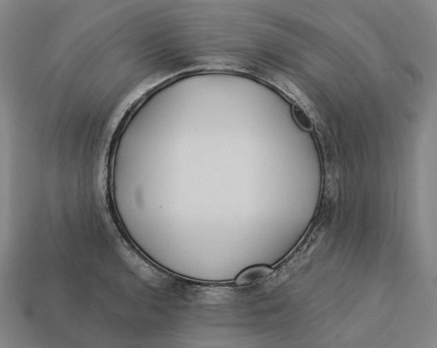 X0000113091136200909251005