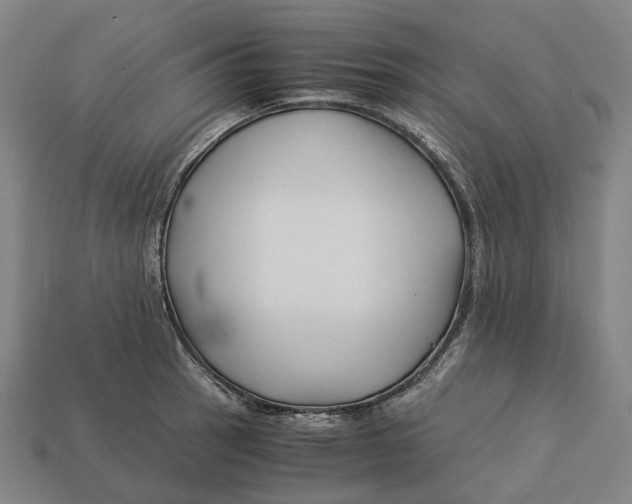 X0000113091137200909251005