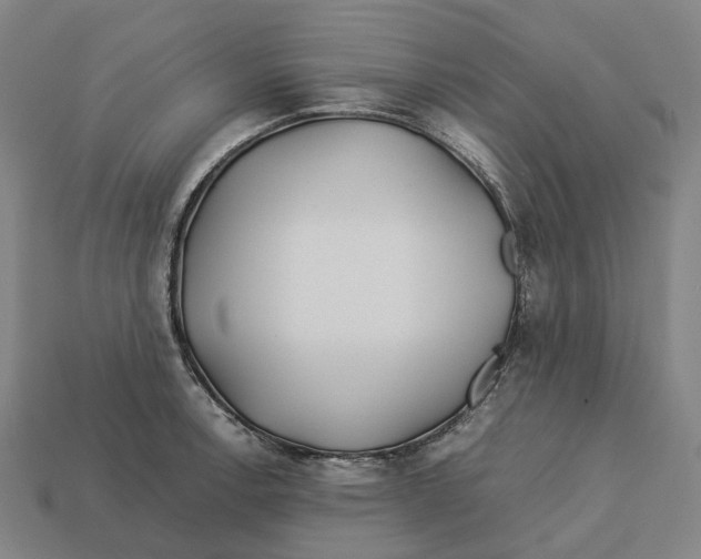 X0000113091138200909251005