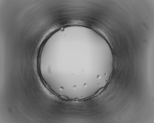 X0000113091139200909251005