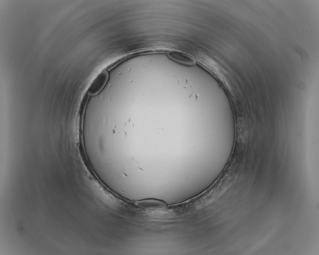 X0000113091140200909251005