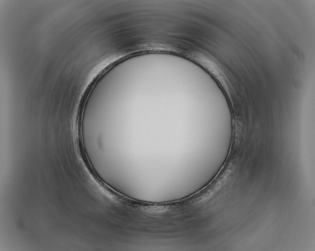 X0000113091141200909251005