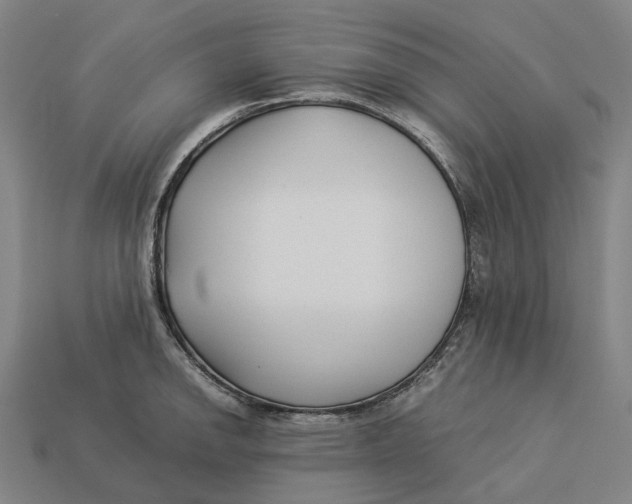 X0000113091142200909251005