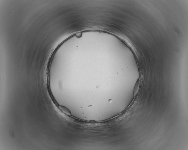 X0000113091143200909251005