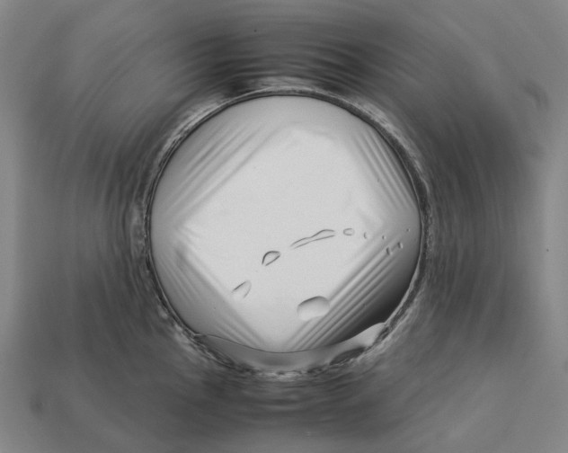 X0000113091145200909251005