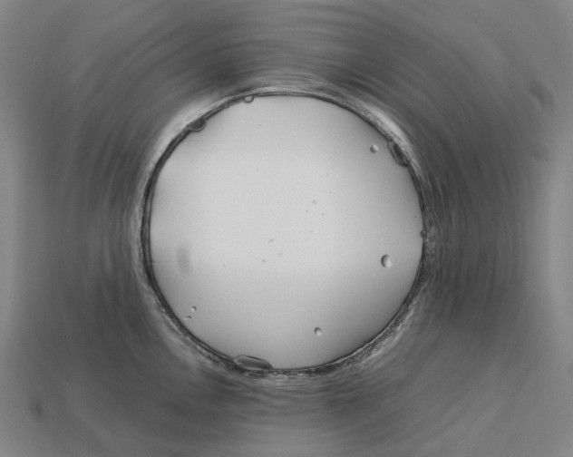 X0000113091146200909251005