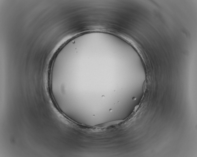 X0000113091147200909251005