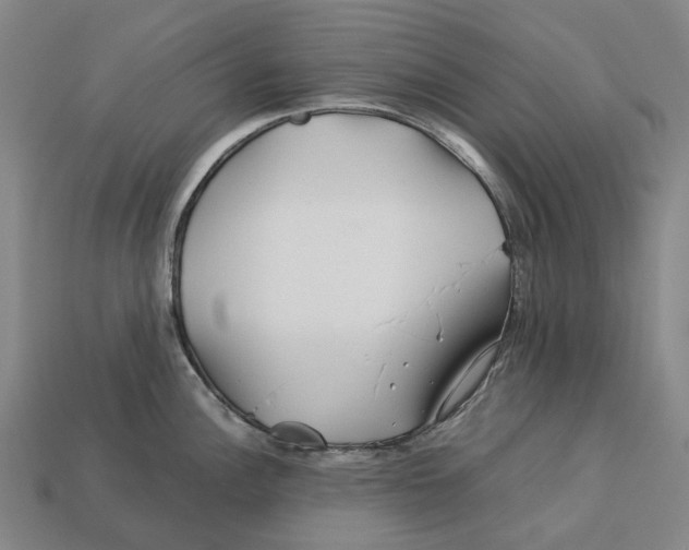 X0000113091148200909251005