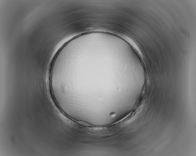 X0000113091149200909251005