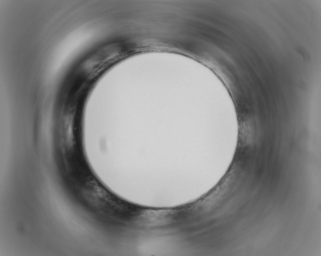 X0000113091150200909251005