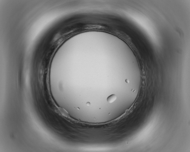 X0000113091151200909251005