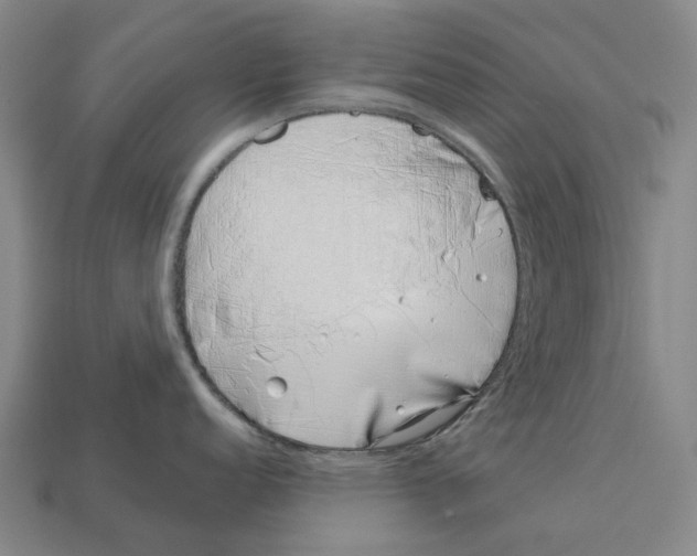 X0000113091152200909251005