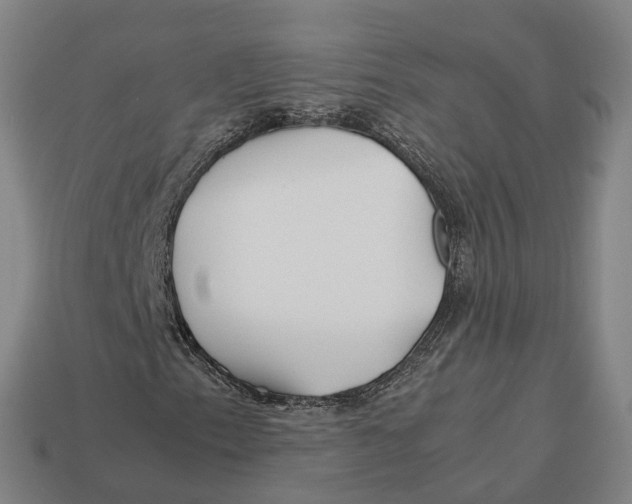 X0000113091153200909251004