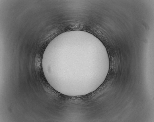 X0000113091154200909251004