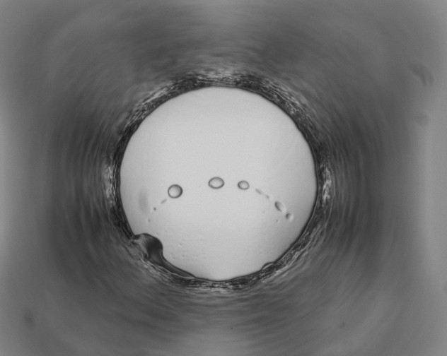 X0000113091156200909251004