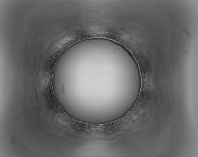 X0000113091157200909251004