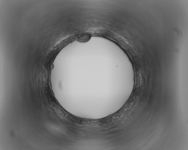 X0000113091158200909251004