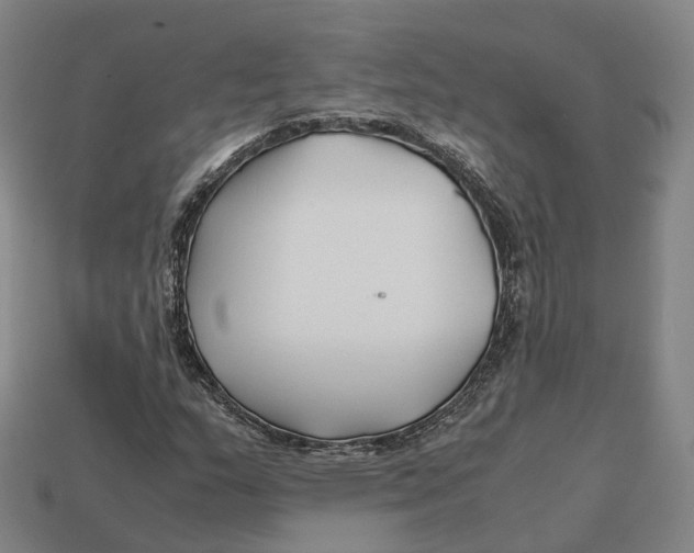 X0000113091159200909251004