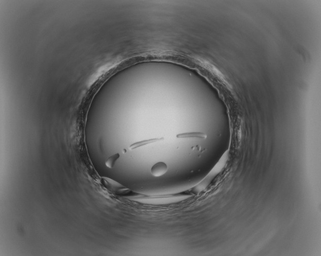 X0000113091160200909251004