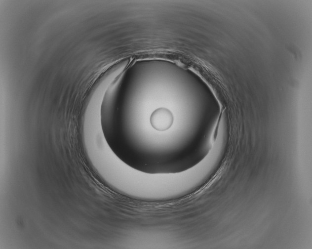 X0000113091161200909251004