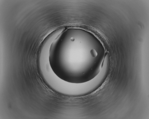 X0000113091162200909251004