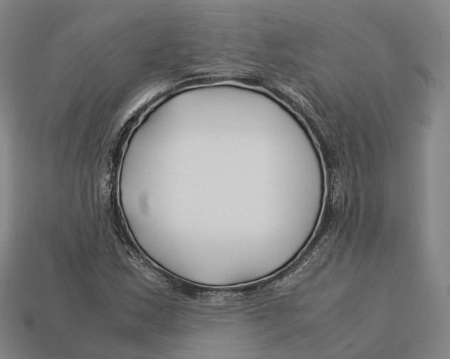 X0000113091163200909251004