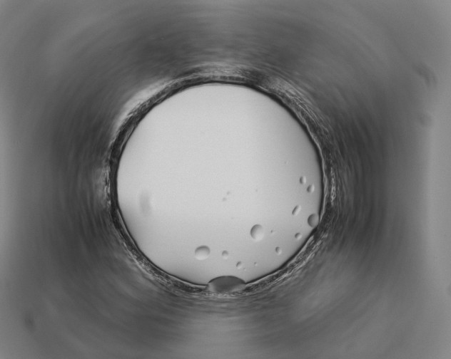 X0000113091164200909251004