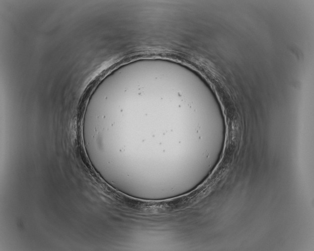 X0000113091165200909251004