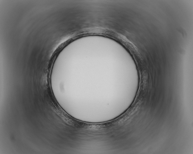 X0000113091166200909251004