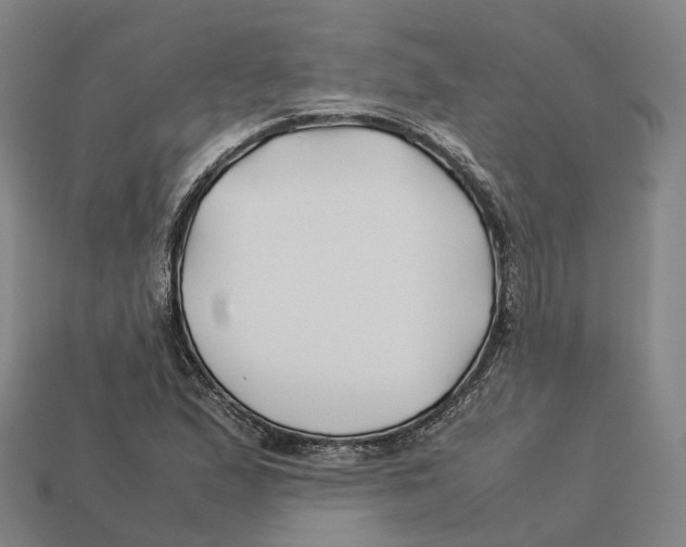 X0000113091167200909251004