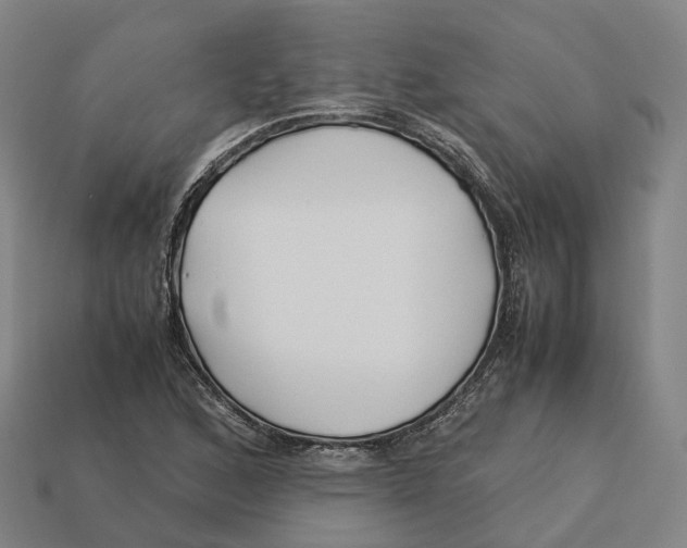 X0000113091168200909251004