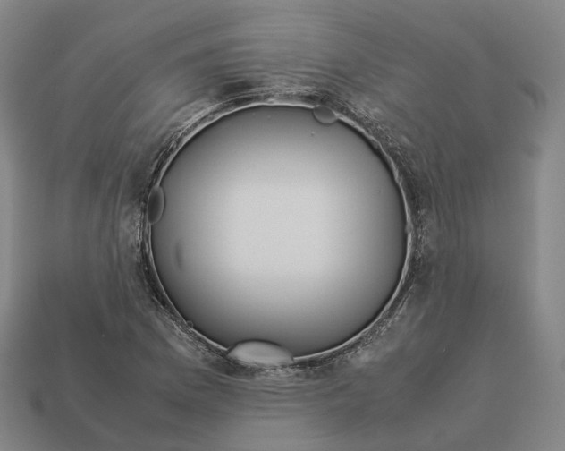 X0000113091169200909251004