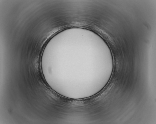 X0000113091170200909251004