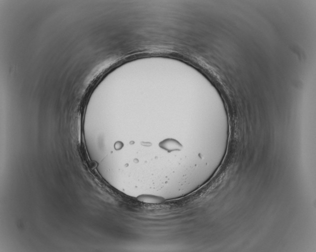 X0000113091171200909251004